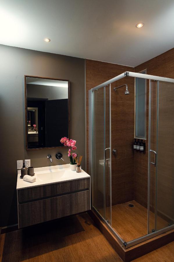 Appartement Condesa Luxury Lofts 1510